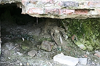 Img 121